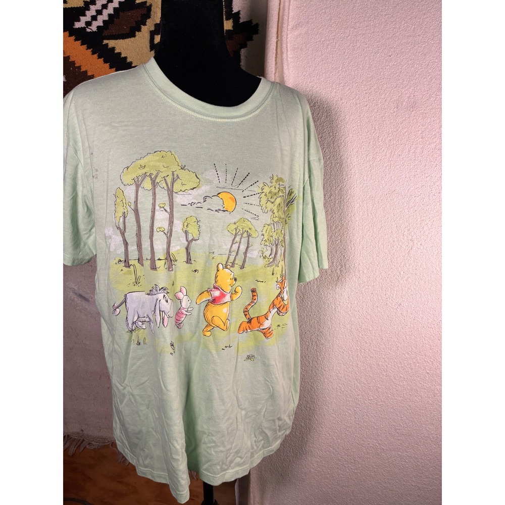 Disney Winnie the Pooh Graphic T-Shirt Kids Size L 12-14 Mint Green Pooh Tigger